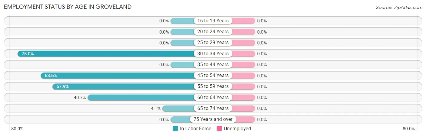 Employment Status by Age in Groveland