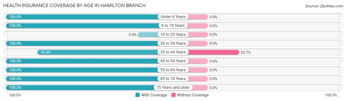 Health Insurance Coverage by Age in Hamilton Branch