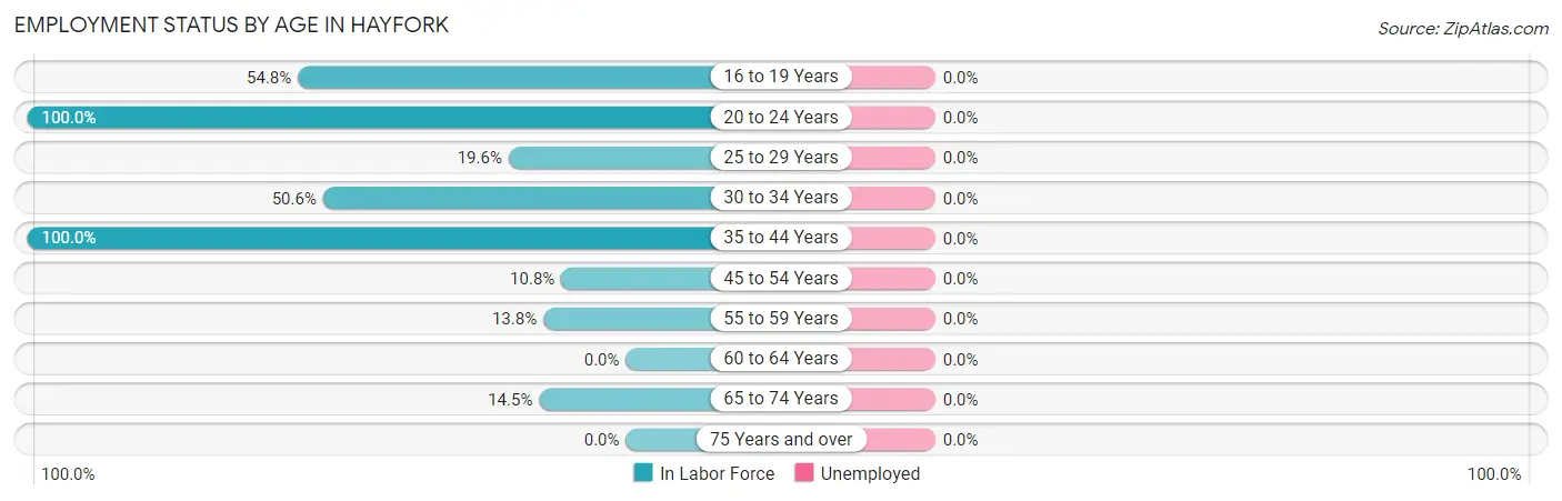 Employment Status by Age in Hayfork