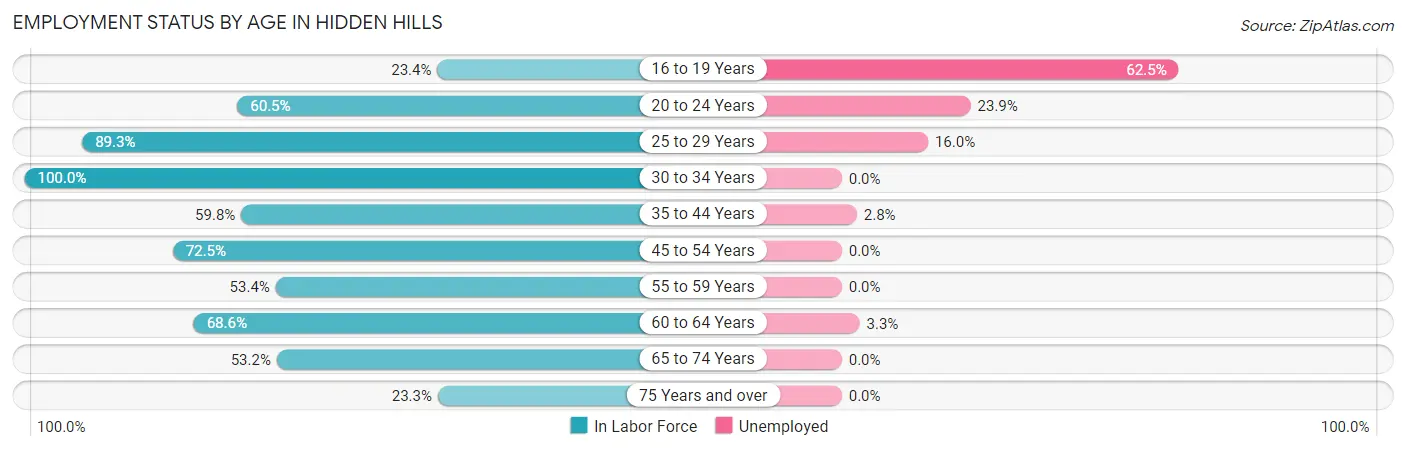 Employment Status by Age in Hidden Hills
