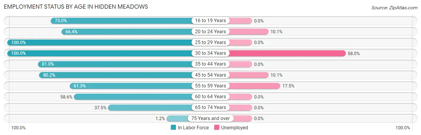 Employment Status by Age in Hidden Meadows