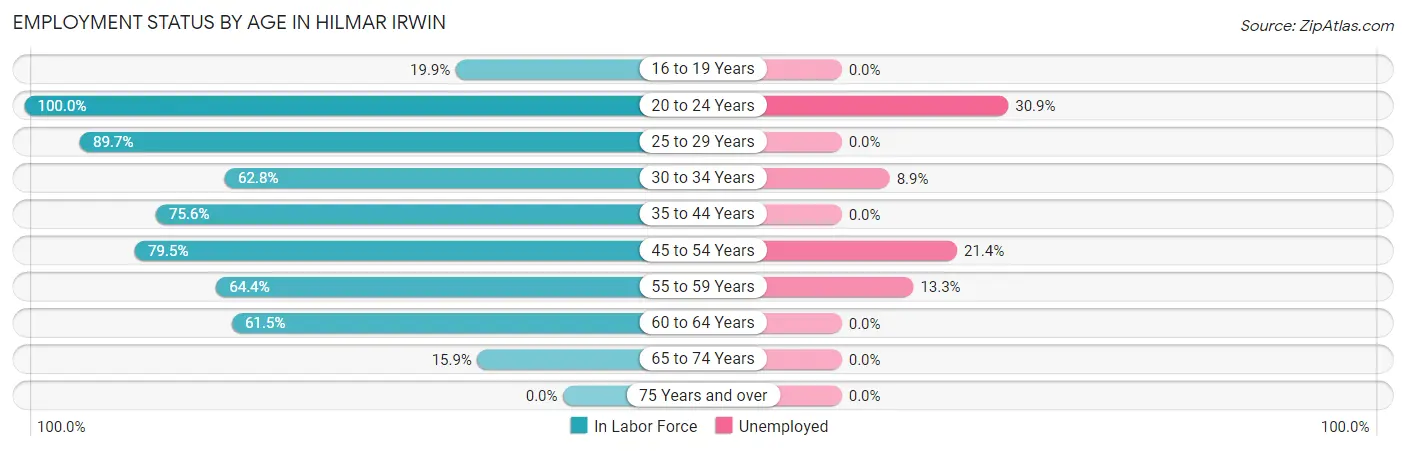 Employment Status by Age in Hilmar Irwin
