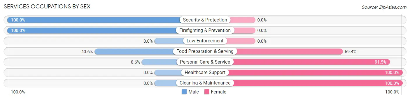 Services Occupations by Sex in Hilmar Irwin
