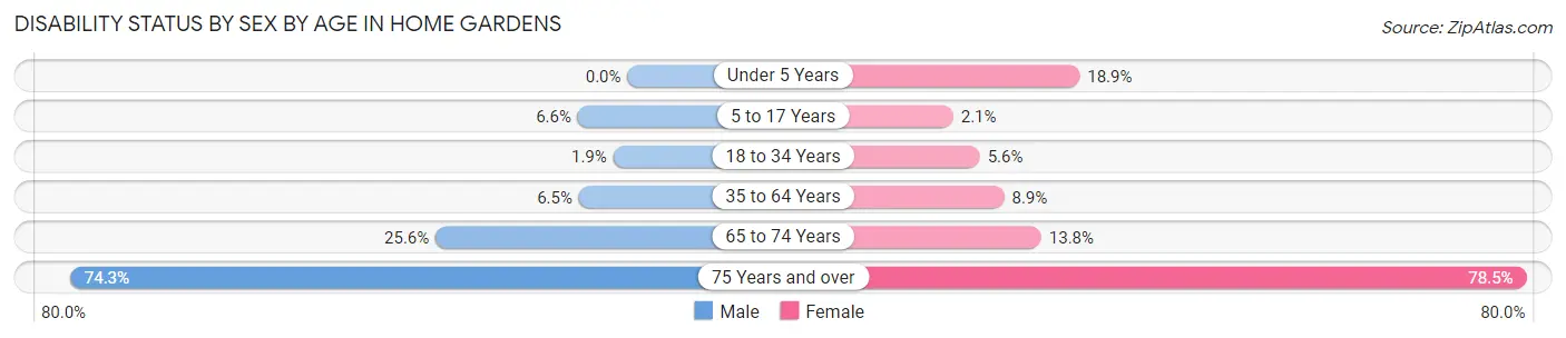 Disability Status by Sex by Age in Home Gardens