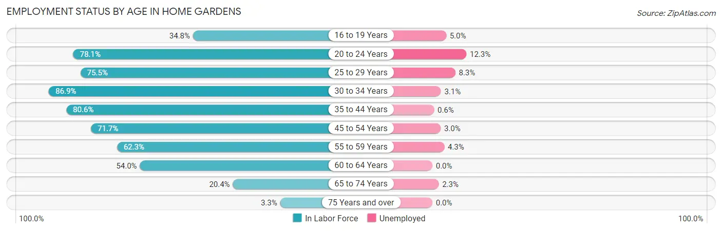 Employment Status by Age in Home Gardens