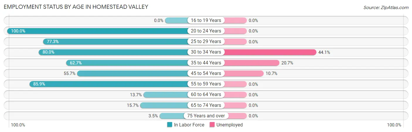 Employment Status by Age in Homestead Valley