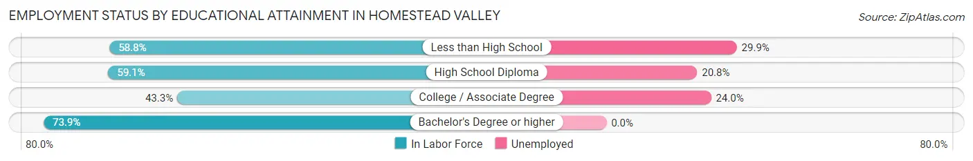 Employment Status by Educational Attainment in Homestead Valley