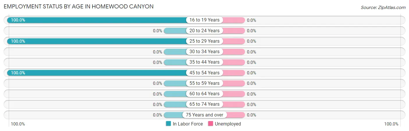 Employment Status by Age in Homewood Canyon
