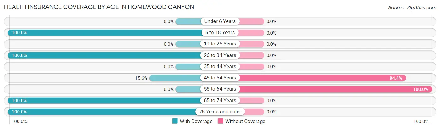 Health Insurance Coverage by Age in Homewood Canyon