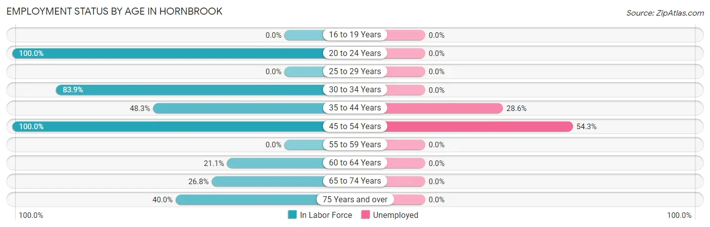 Employment Status by Age in Hornbrook