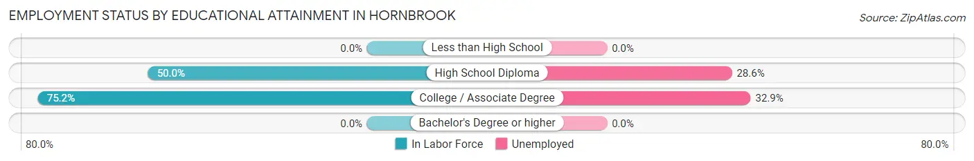 Employment Status by Educational Attainment in Hornbrook