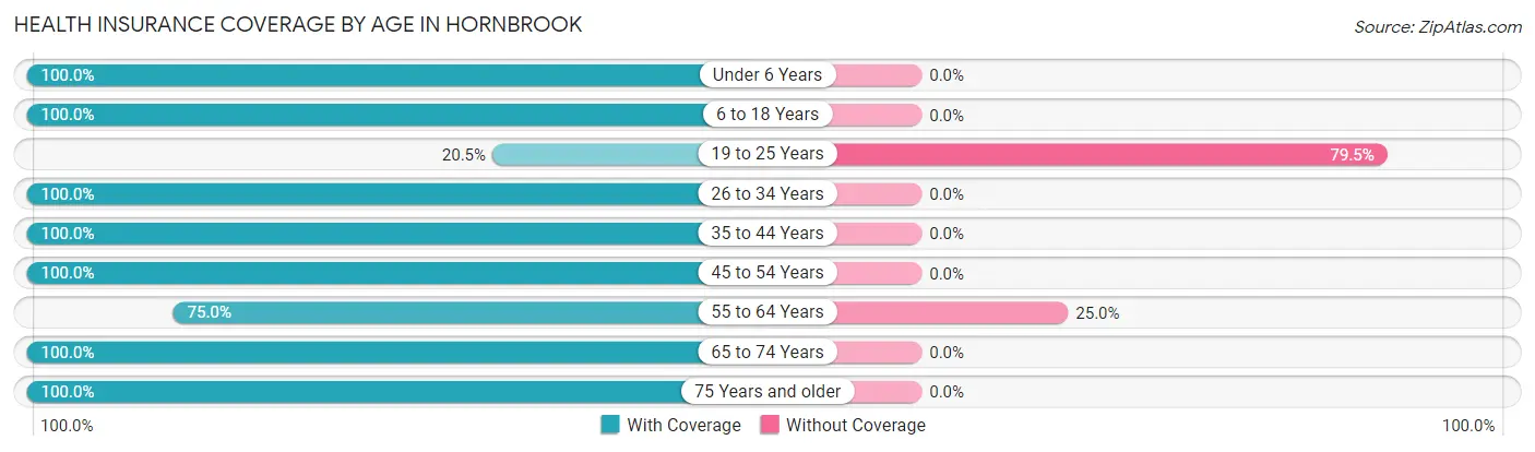 Health Insurance Coverage by Age in Hornbrook