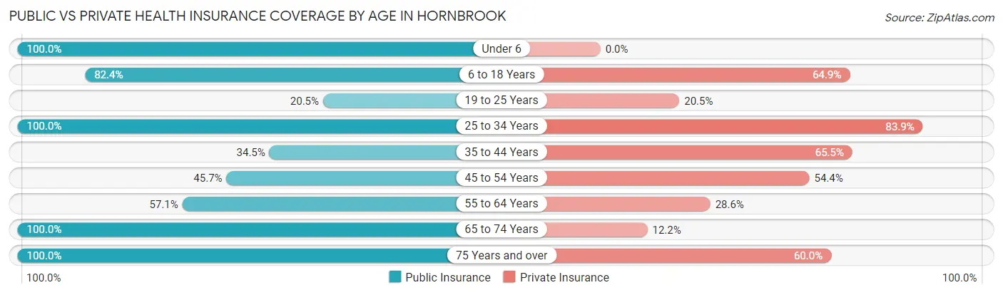 Public vs Private Health Insurance Coverage by Age in Hornbrook