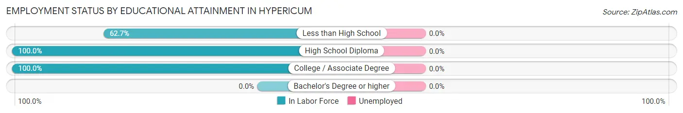 Employment Status by Educational Attainment in Hypericum