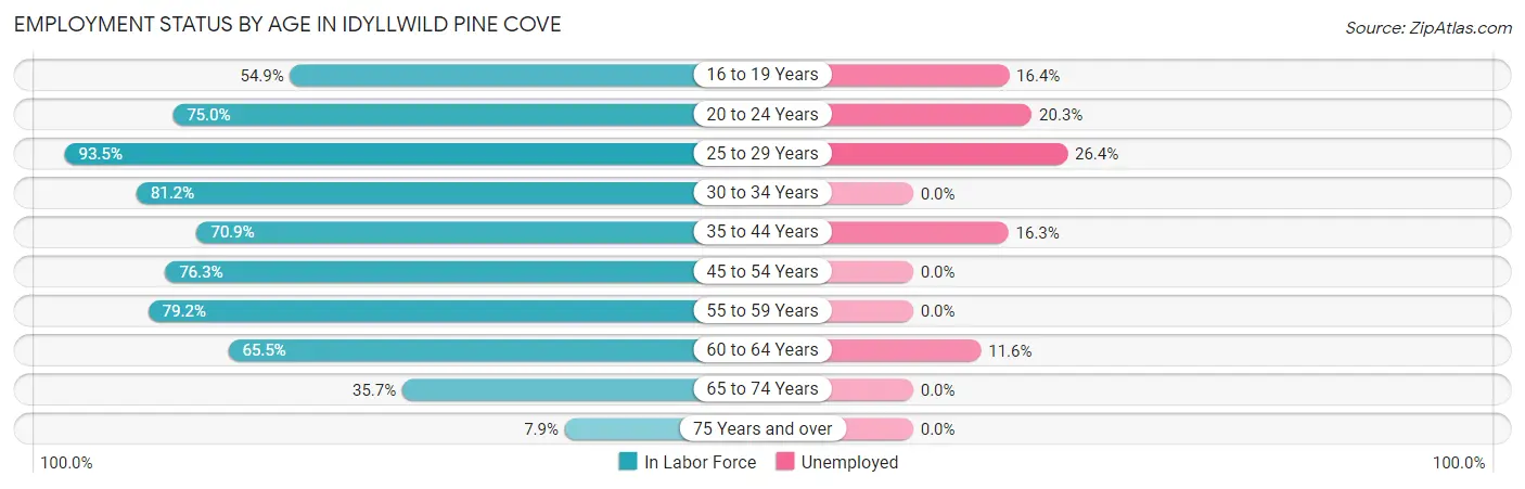 Employment Status by Age in Idyllwild Pine Cove