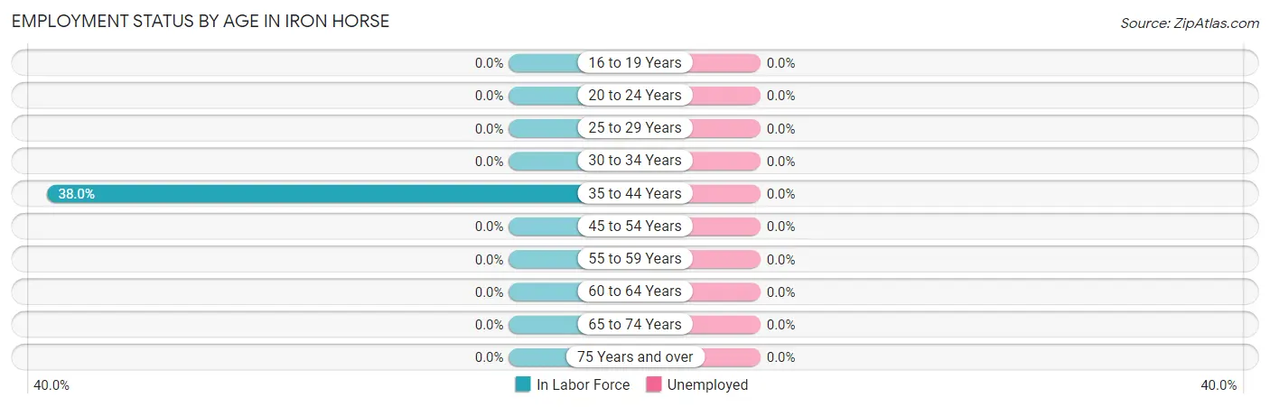 Employment Status by Age in Iron Horse