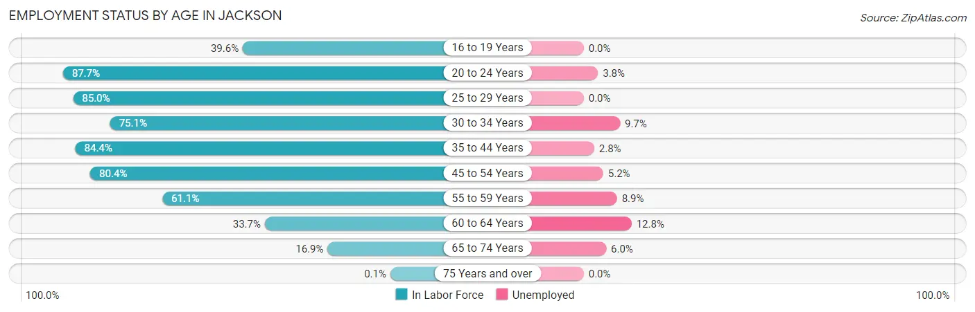 Employment Status by Age in Jackson