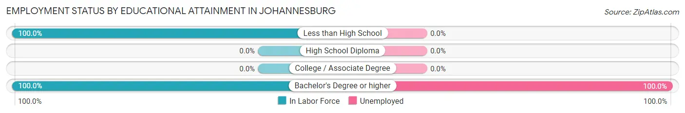 Employment Status by Educational Attainment in Johannesburg