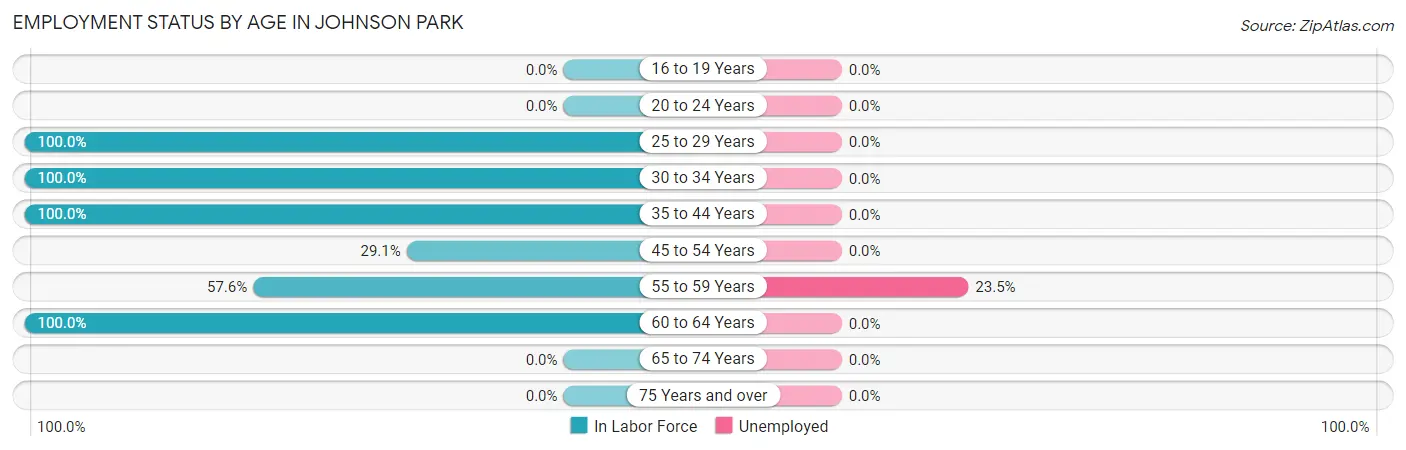 Employment Status by Age in Johnson Park