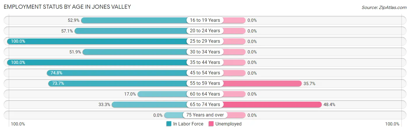 Employment Status by Age in Jones Valley