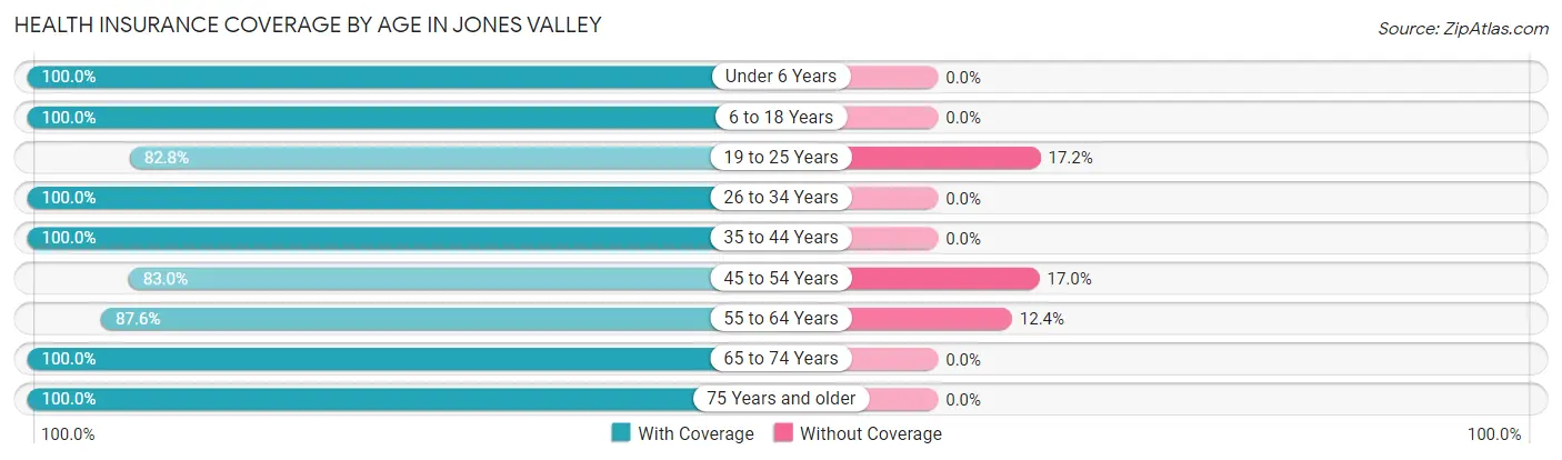 Health Insurance Coverage by Age in Jones Valley