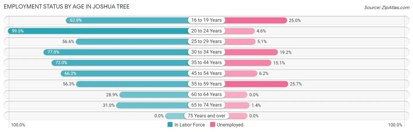 Employment Status by Age in Joshua Tree