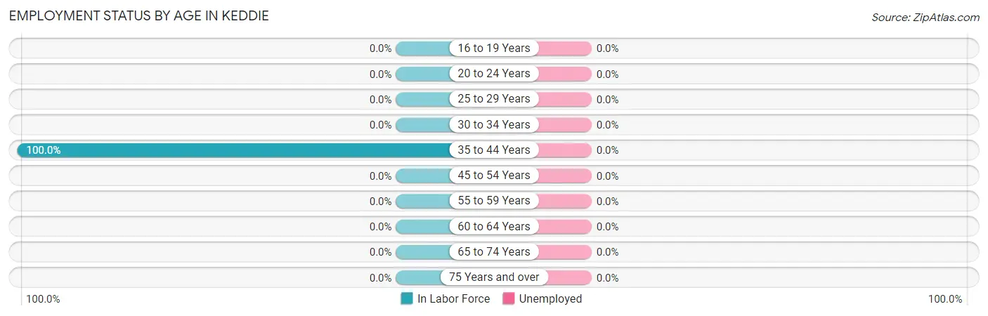 Employment Status by Age in Keddie
