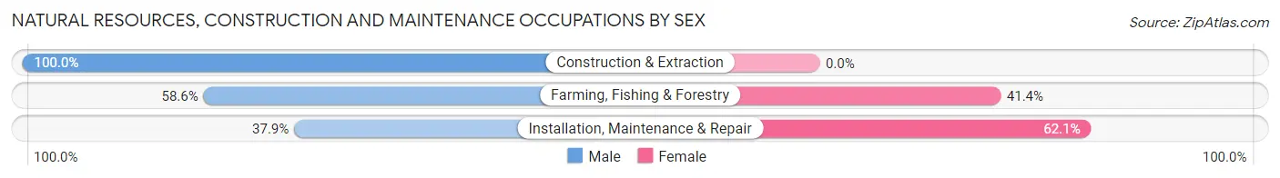 Natural Resources, Construction and Maintenance Occupations by Sex in Kelseyville