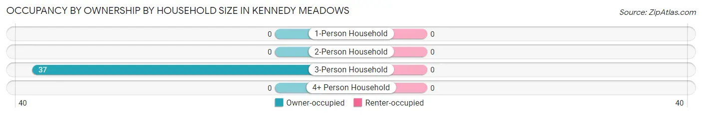 Occupancy by Ownership by Household Size in Kennedy Meadows