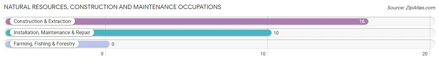 Natural Resources, Construction and Maintenance Occupations in Kensington