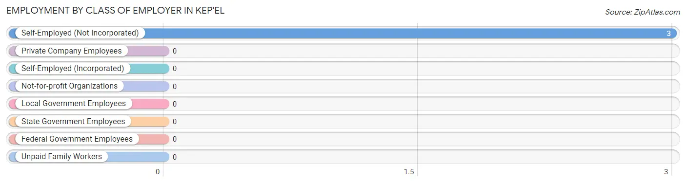 Employment by Class of Employer in Kep'el