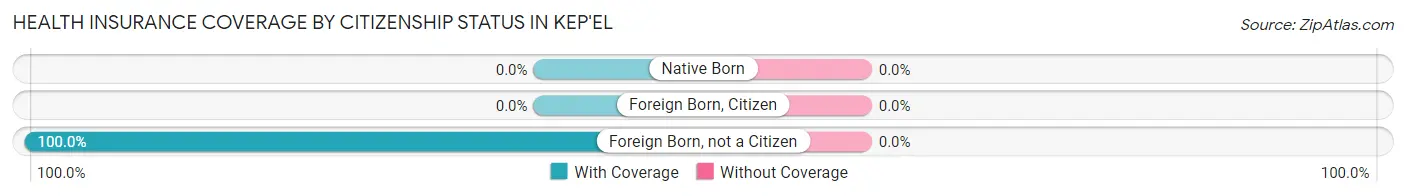 Health Insurance Coverage by Citizenship Status in Kep'el