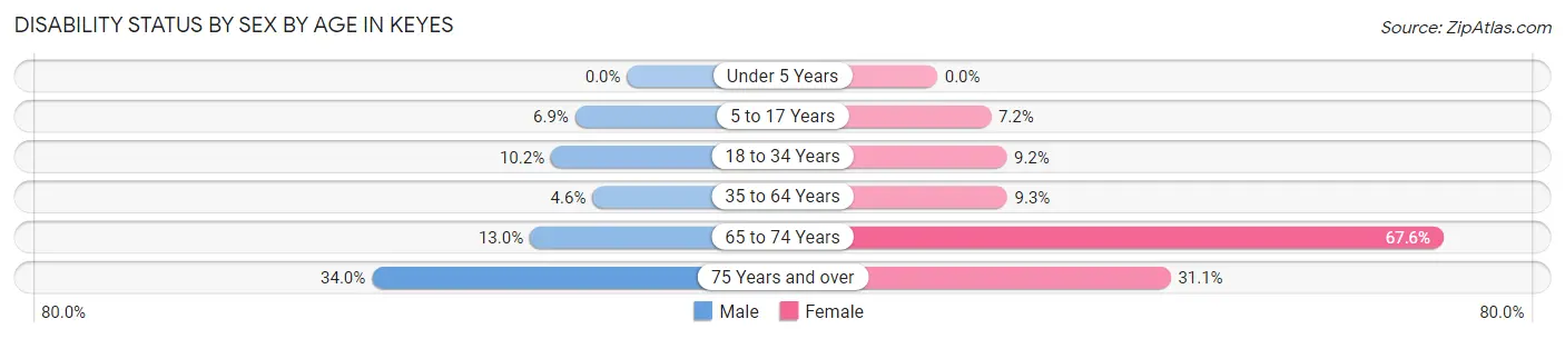 Disability Status by Sex by Age in Keyes
