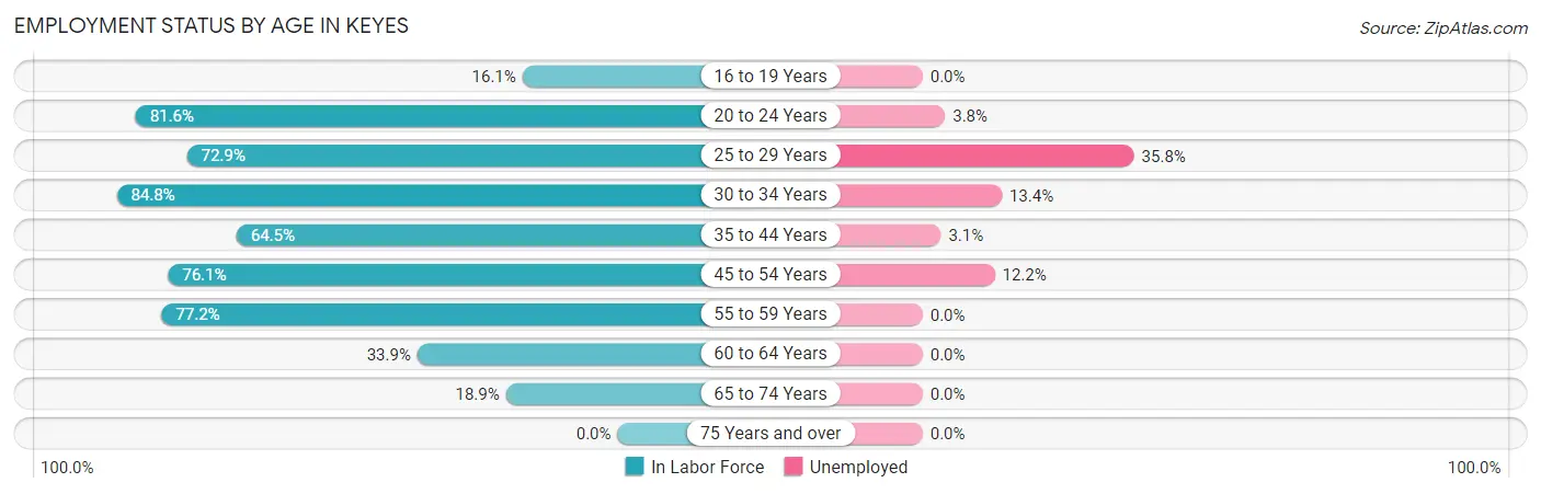 Employment Status by Age in Keyes