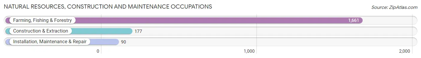 Natural Resources, Construction and Maintenance Occupations in King City