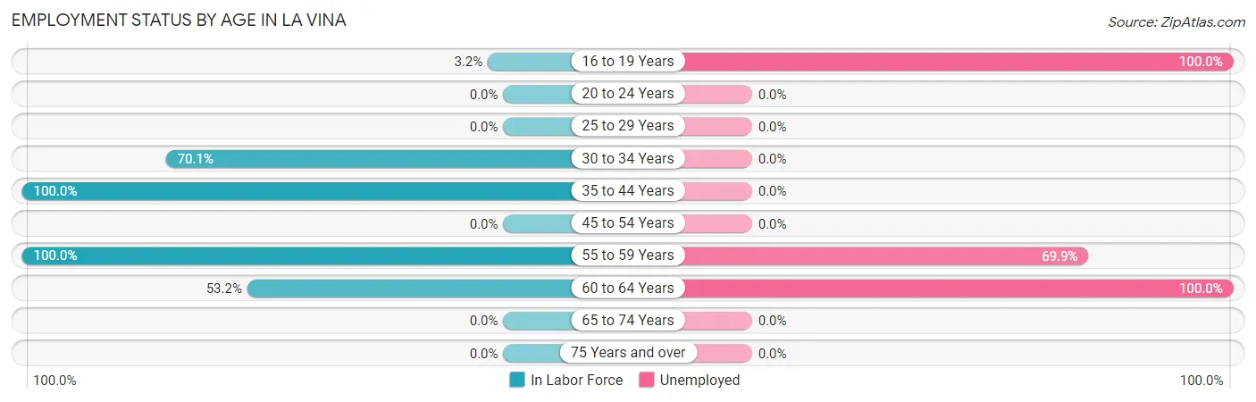 Employment Status by Age in La Vina