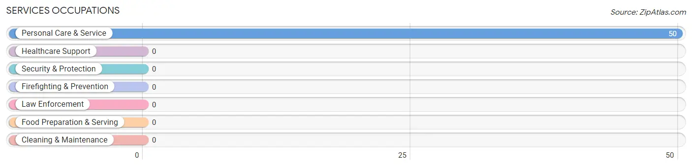 Services Occupations in Lake Davis