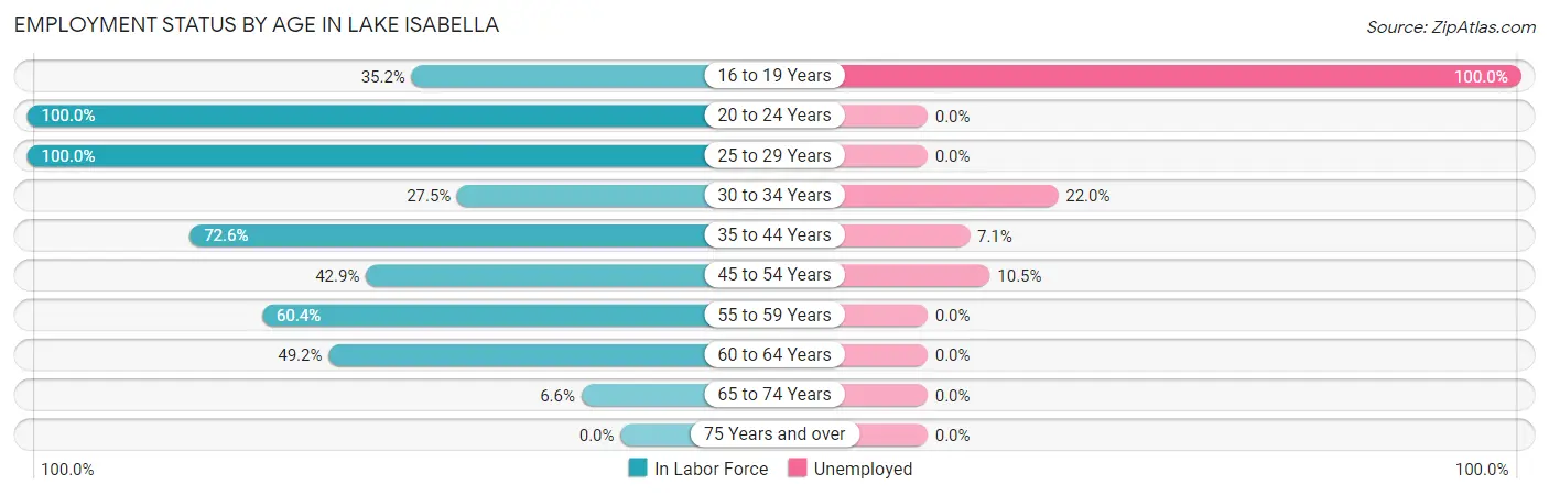 Employment Status by Age in Lake Isabella