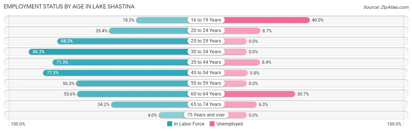 Employment Status by Age in Lake Shastina