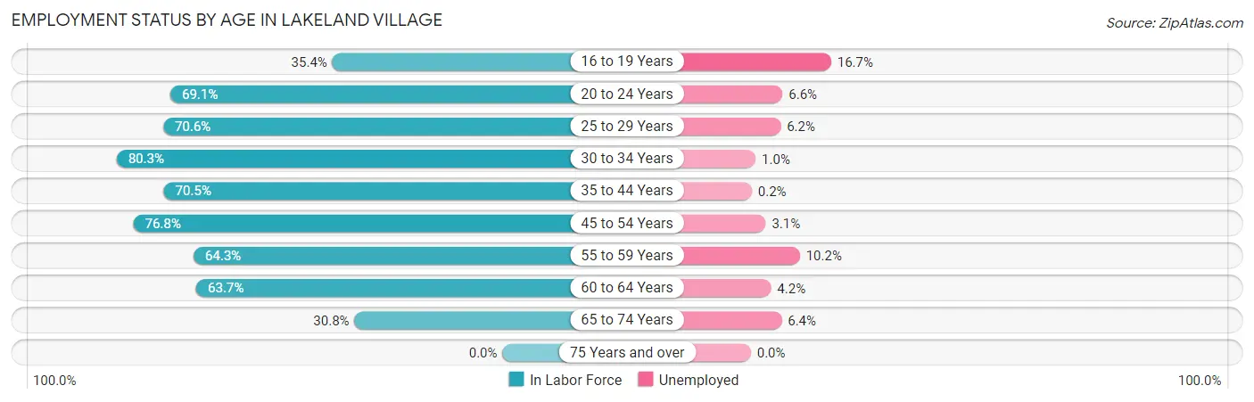 Employment Status by Age in Lakeland Village