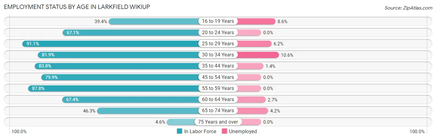 Employment Status by Age in Larkfield Wikiup