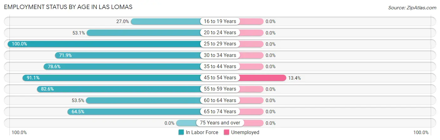 Employment Status by Age in Las Lomas
