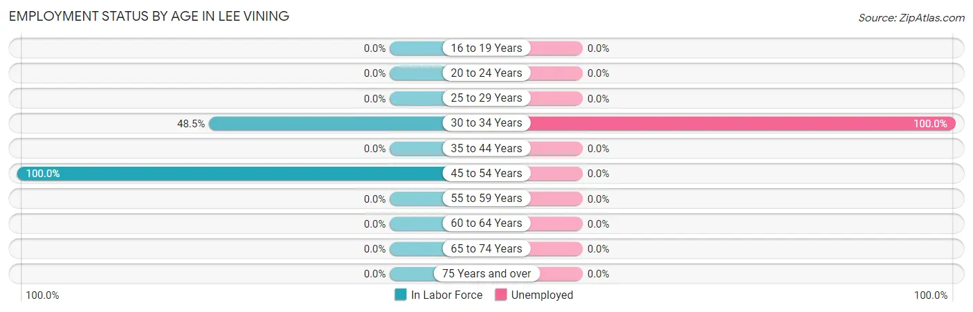 Employment Status by Age in Lee Vining