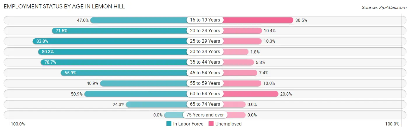 Employment Status by Age in Lemon Hill