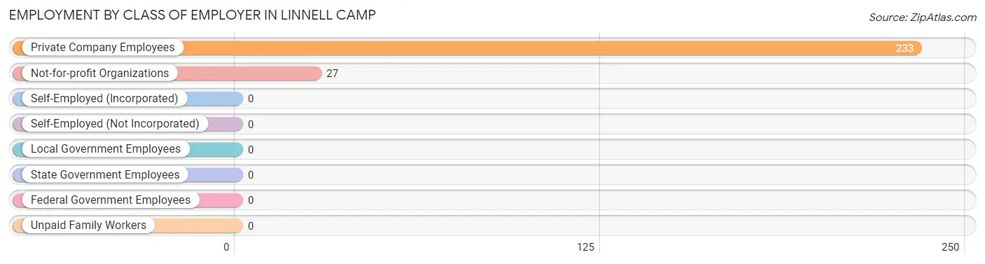 Employment by Class of Employer in Linnell Camp