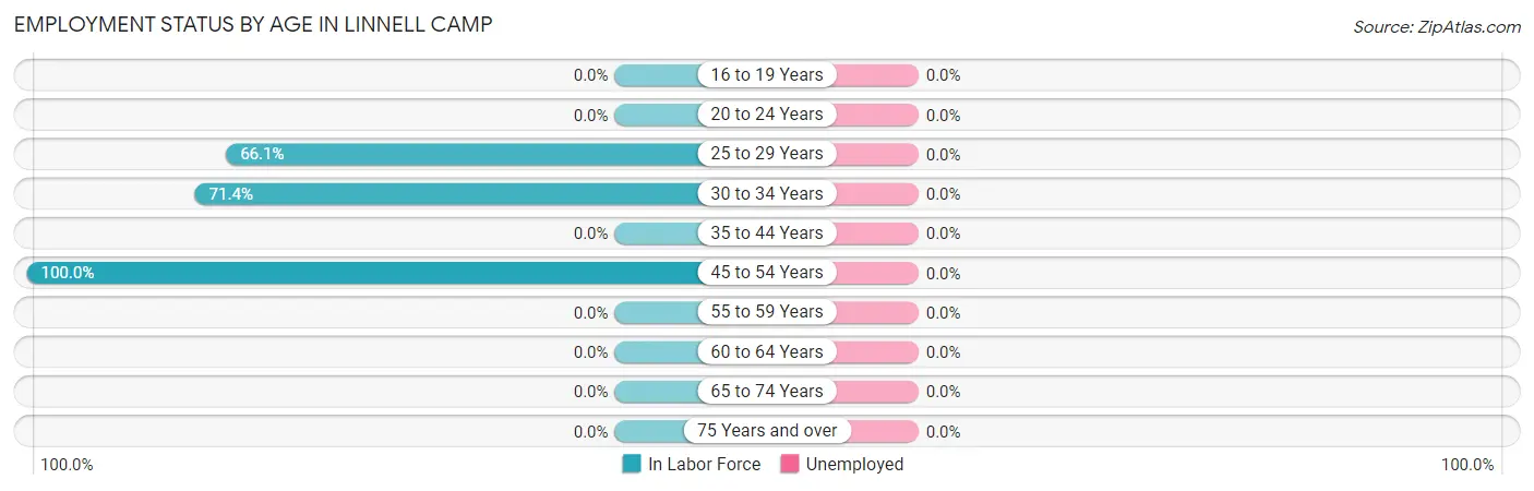 Employment Status by Age in Linnell Camp