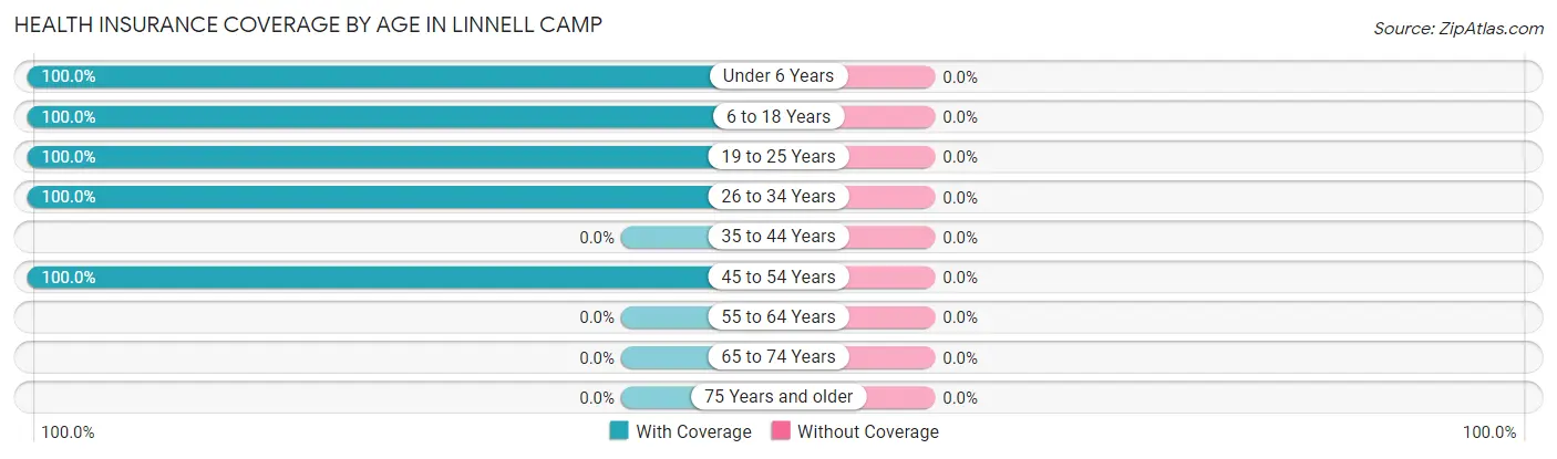 Health Insurance Coverage by Age in Linnell Camp