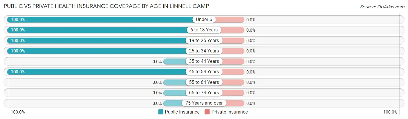 Public vs Private Health Insurance Coverage by Age in Linnell Camp