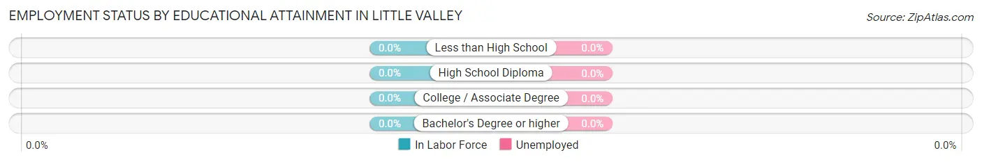 Employment Status by Educational Attainment in Little Valley