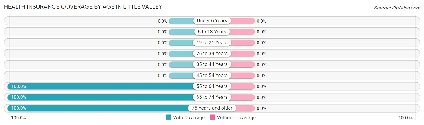 Health Insurance Coverage by Age in Little Valley